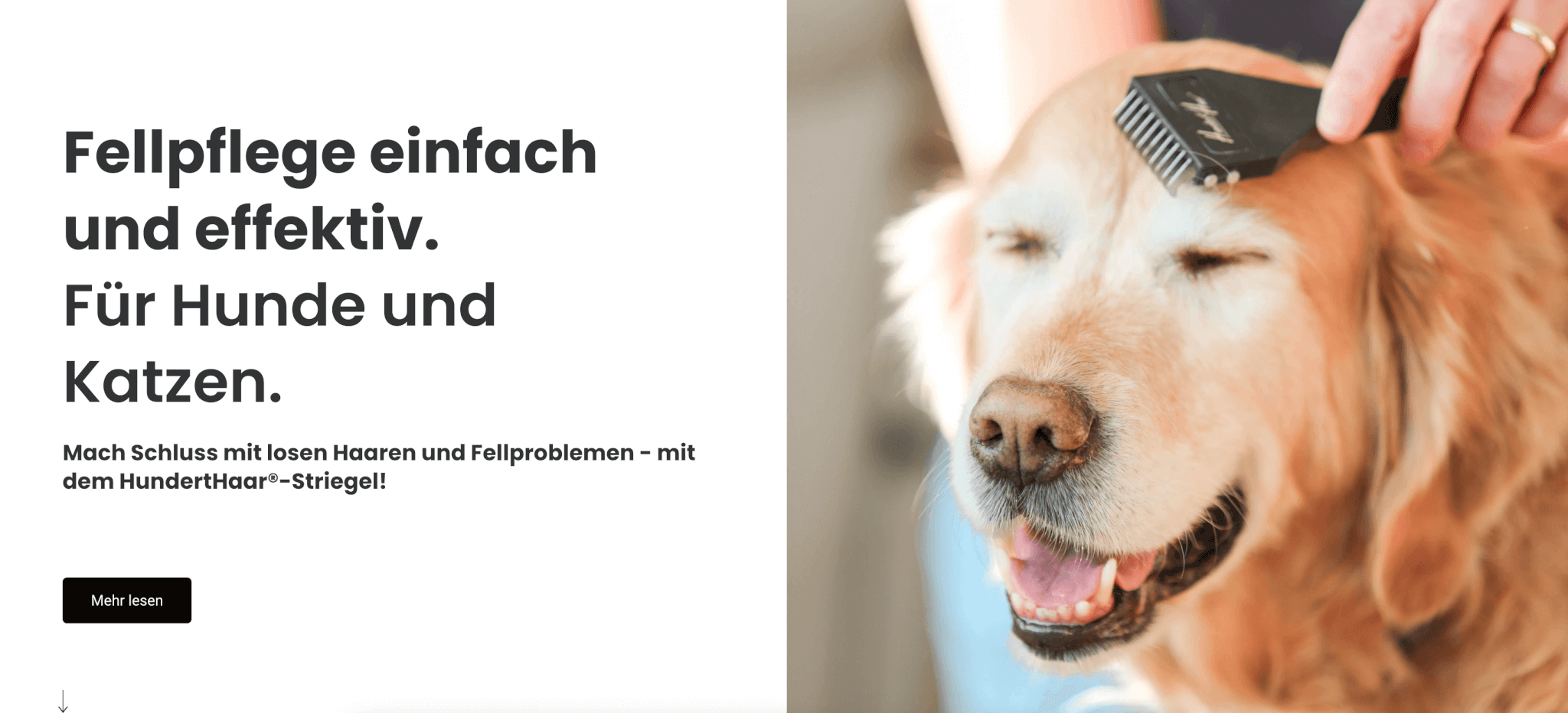 Verpackungsentwurf