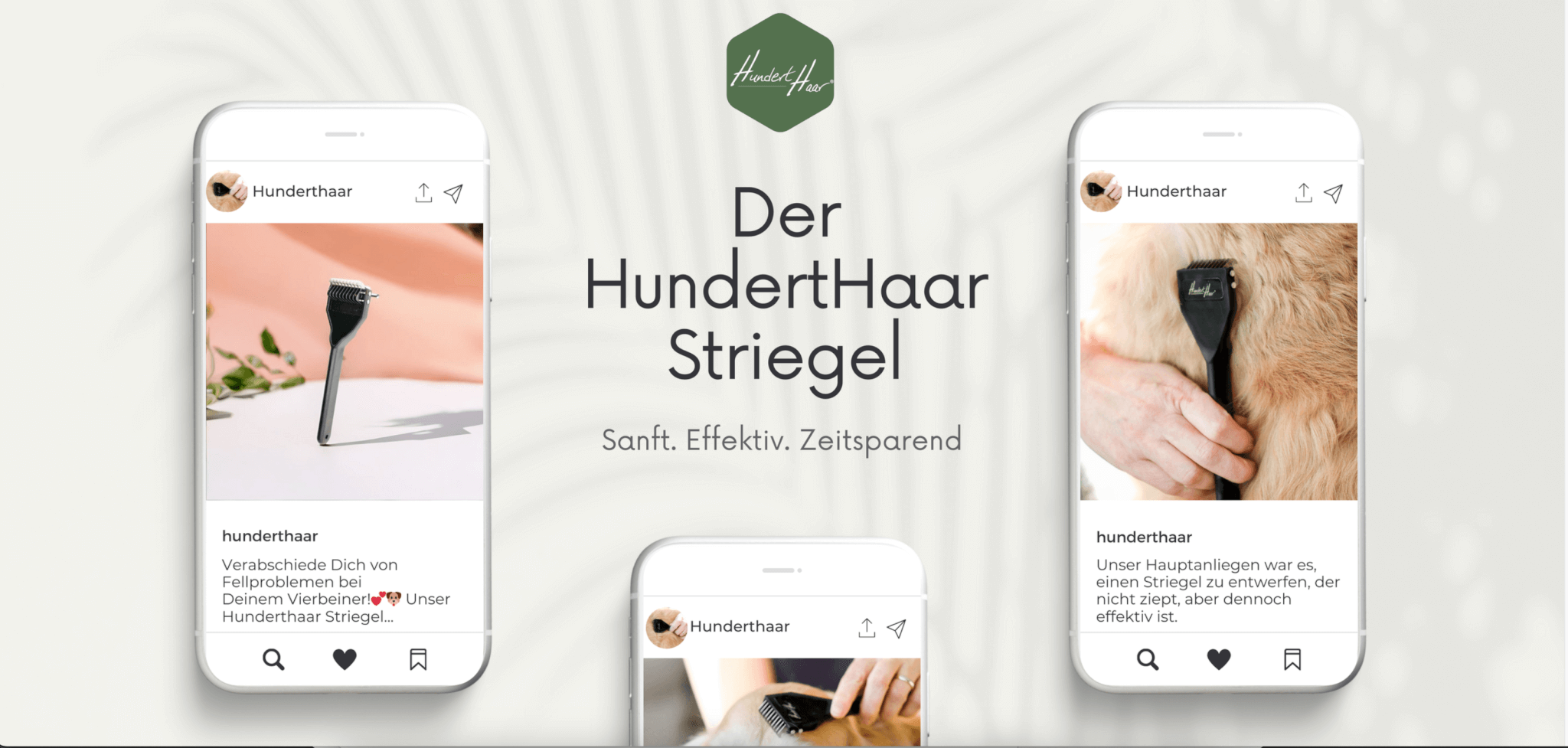 Verpackungsentwurf