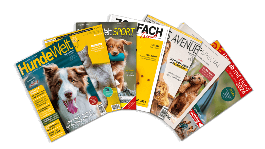 Magazine des Minerva Verlags