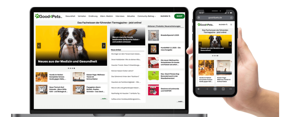 Bildschirmansicht eines Online-Portals