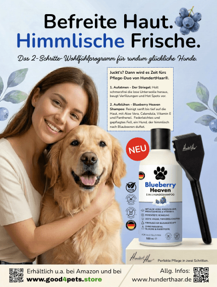Printanzeige