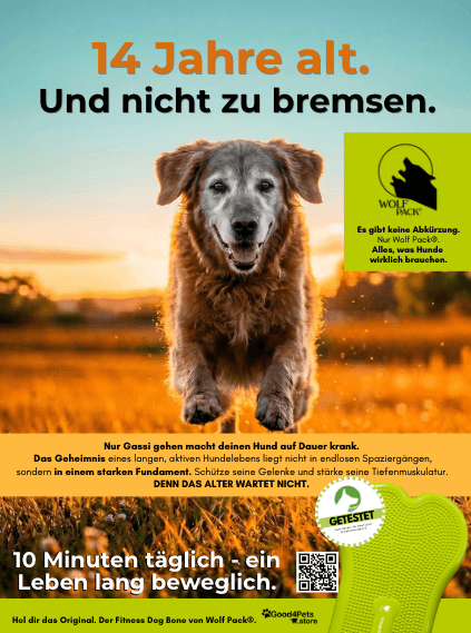 Printanzeige