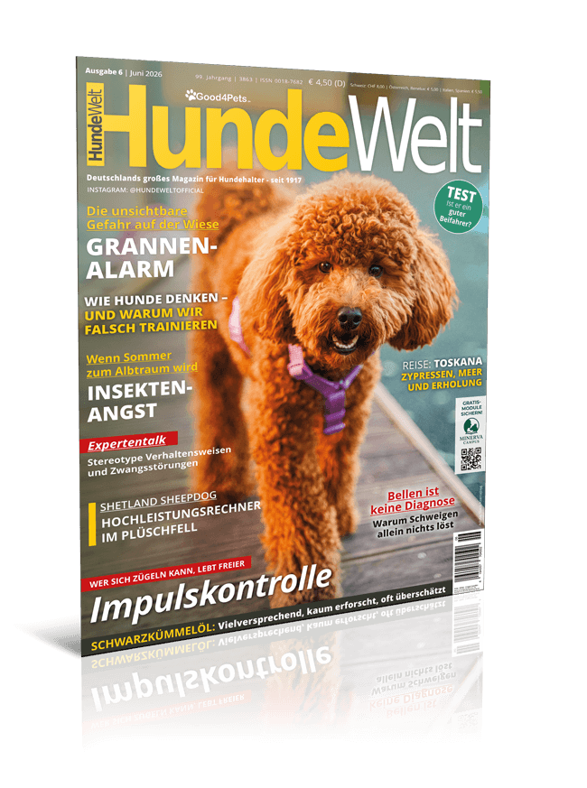 Titelseite HundeWelt
